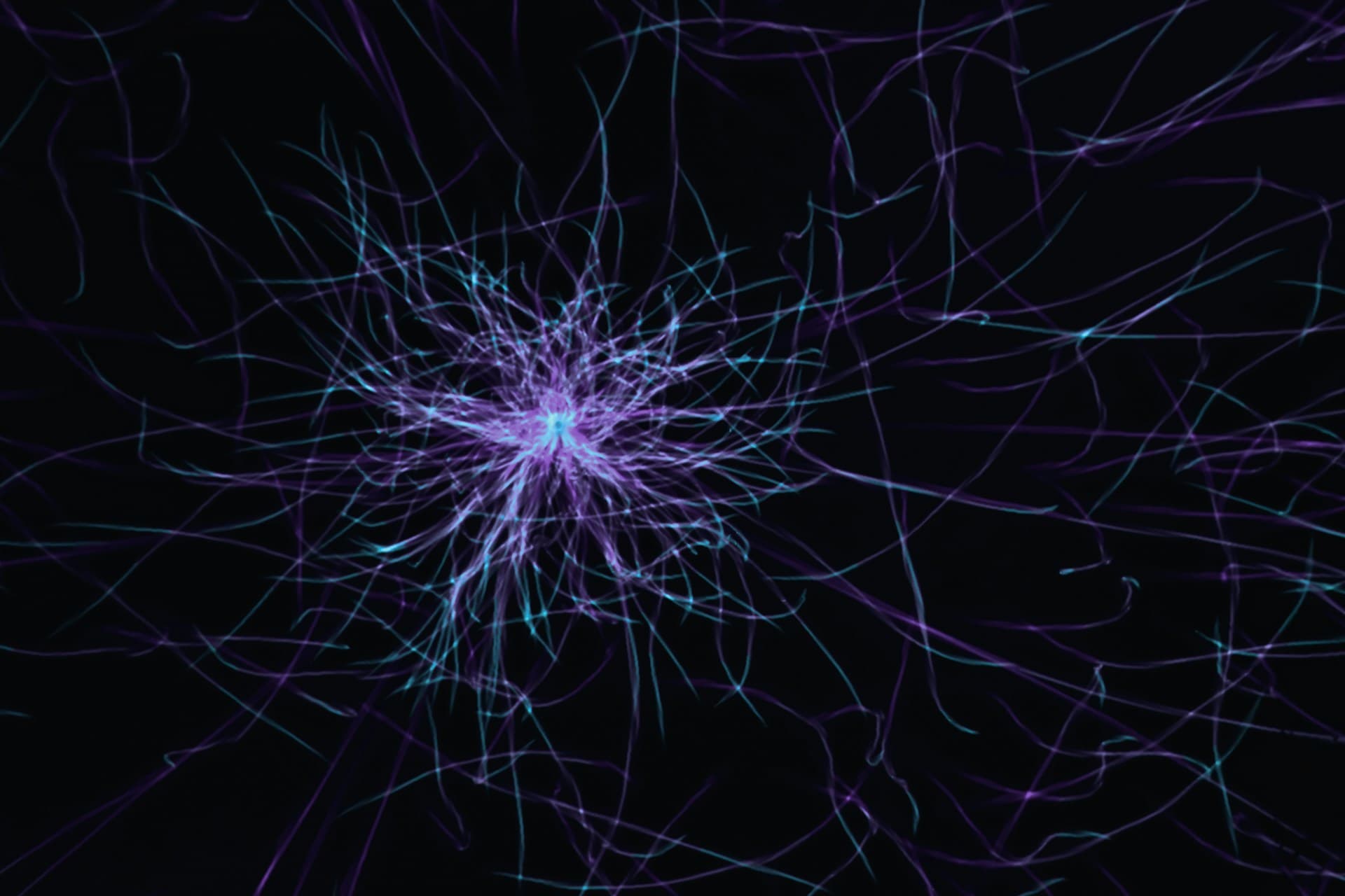 AI as Nervous System