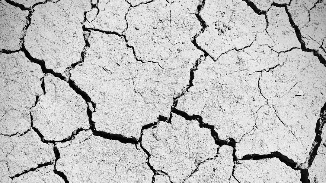 Hatred Makes People Forget