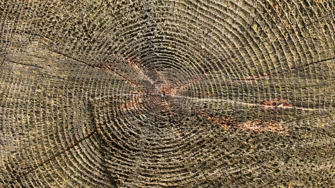 Continuity in a Changing Place