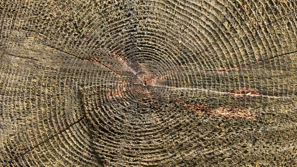 Continuity in a Changing Place