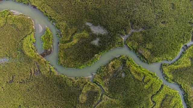 Notes on the Planetary Civics Inquiry