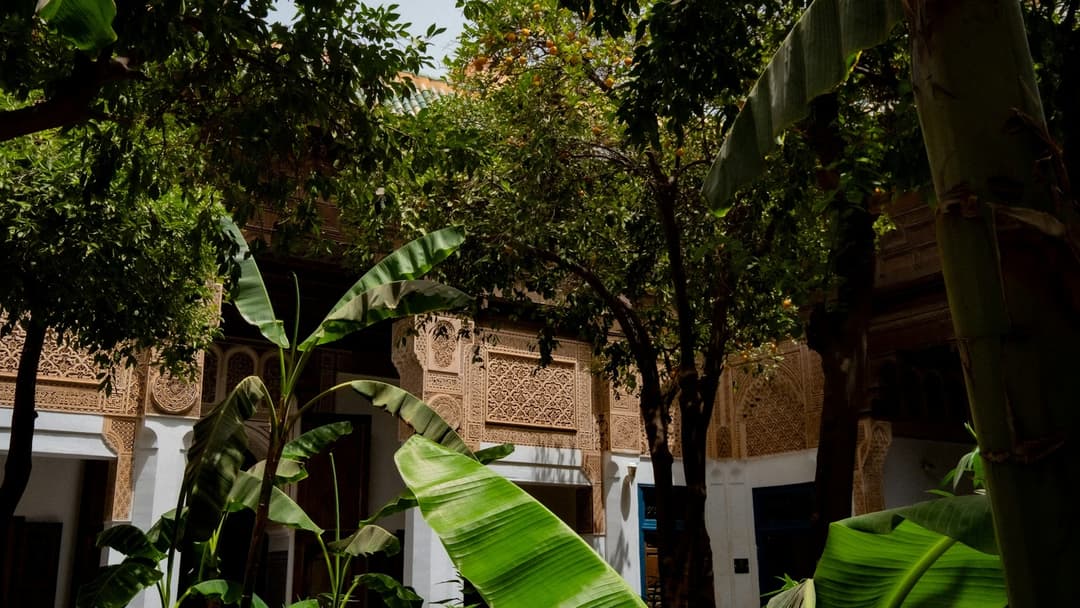 Team Lunch at Maloop