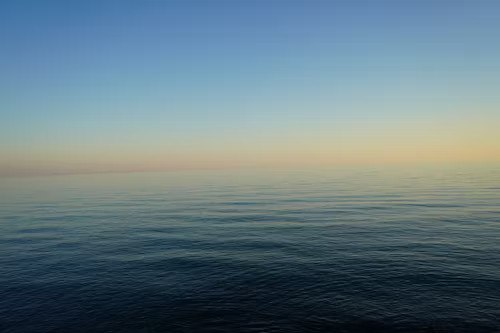 Calm Is a Professional Skill