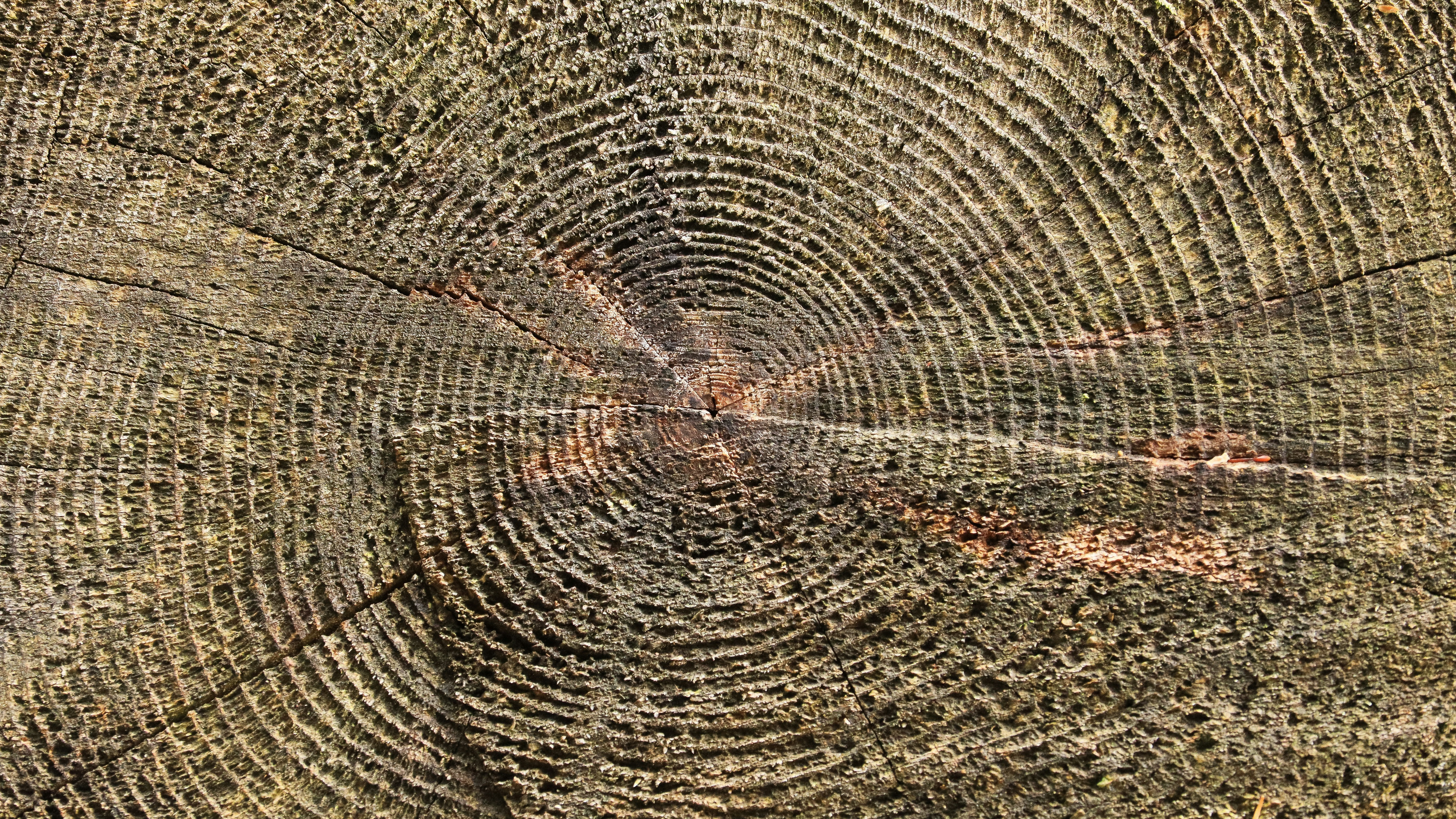 Continuity in a Changing Place